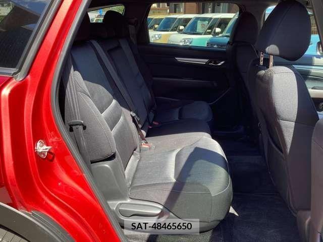 Mazda CX-8 2019-04 203921-20