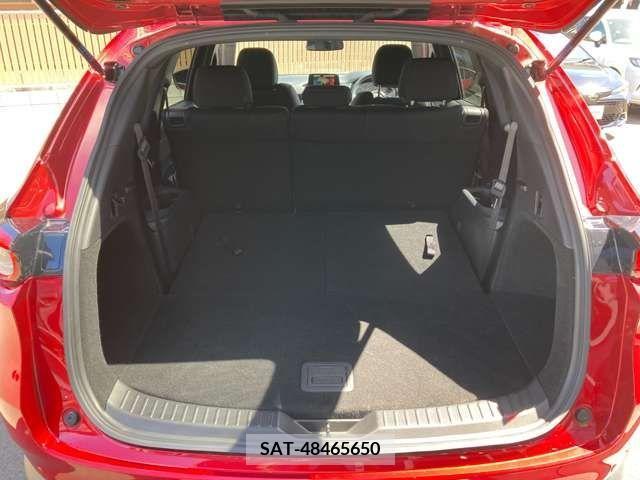 Mazda CX-8 2019-04 203921-23