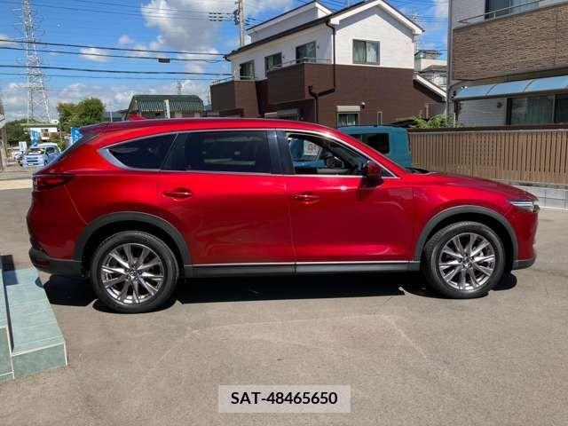 Mazda CX-8 2019-04 203921-25