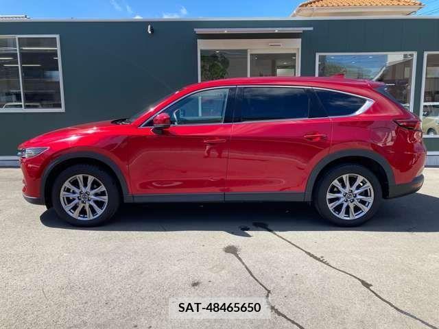 Mazda CX-8 2019-04 203921-26