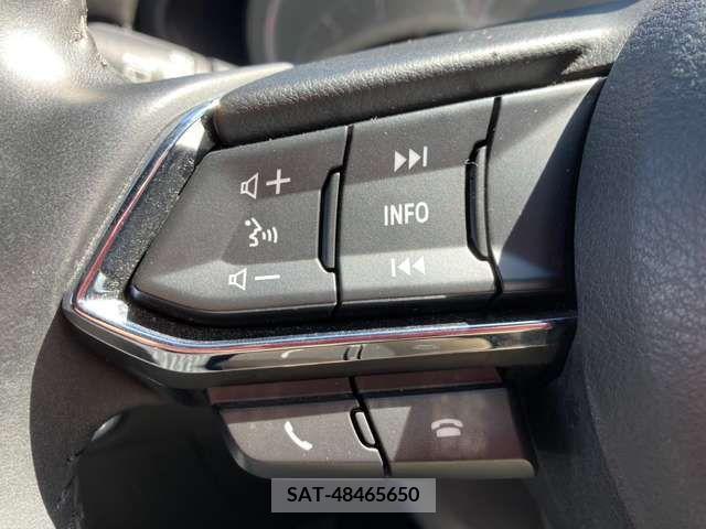 Mazda CX-8 2019-04 203921-5