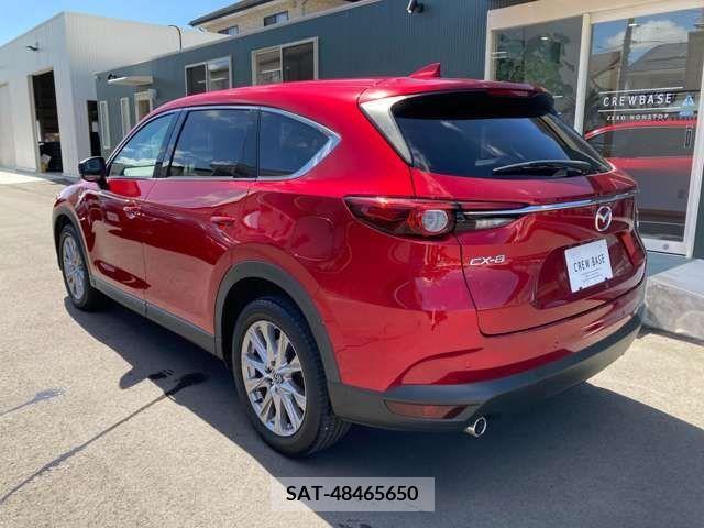 Mazda CX-8 2019-04 203921-28