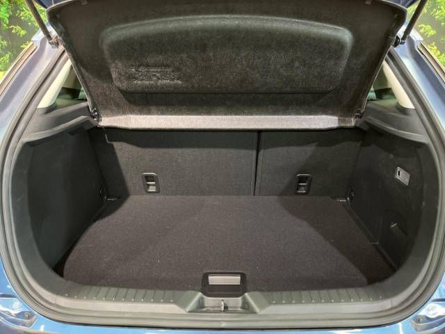 Mazda CX-3 2017-02 192385-13
