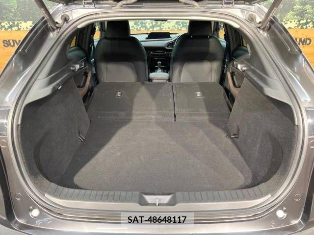 Mazda CX-30 2019-09 295592-10