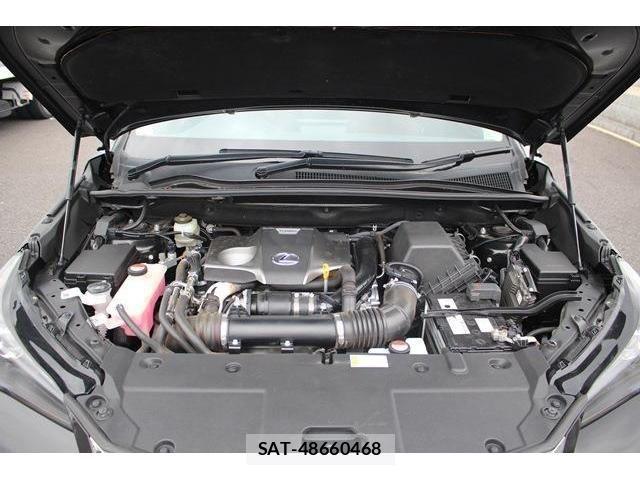Lexus NX 2015-05 429101-18