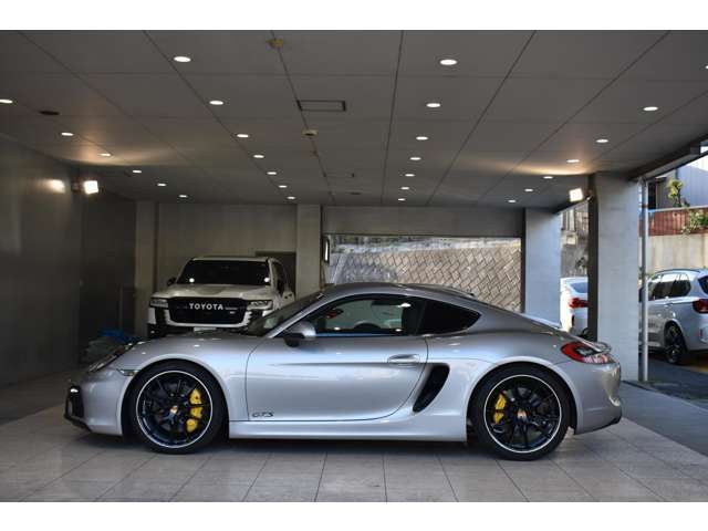 Porsche CAYMAN 2015-06 11260-20