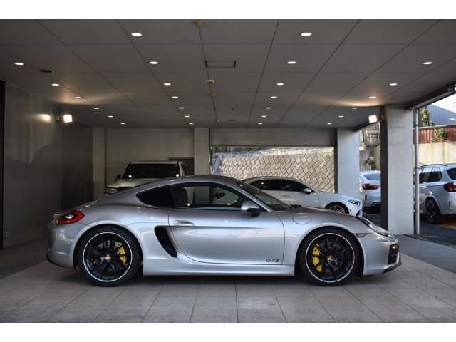 Porsche CAYMAN 2015-06 11260-19
