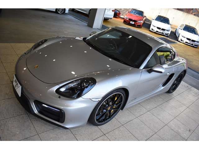 Porsche CAYMAN 2015-06 11260-25