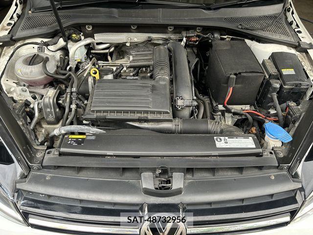 VolksWagen GOLF VARIANT 2016-11 204049-25