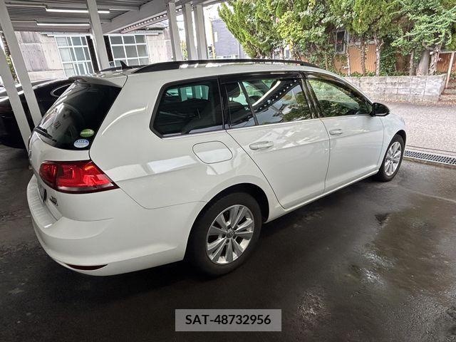 VolksWagen GOLF VARIANT 2016-11 204049-4
