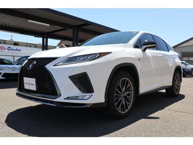 Lexus RX 2021-06 10762-5