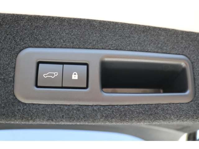 Lexus RX 2021-06 10762-17