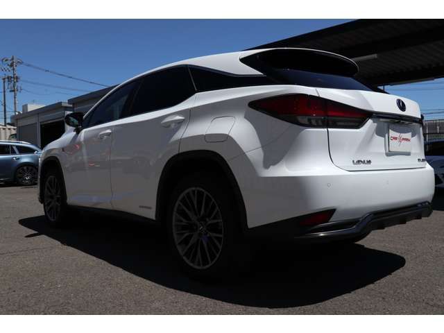 Lexus RX 2021-06 10762-4