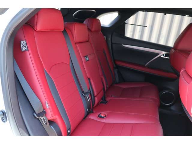 Lexus RX 2021-06 10762-13