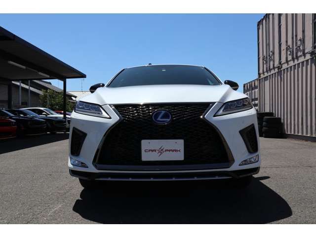 Lexus RX 2021-06 10762-19