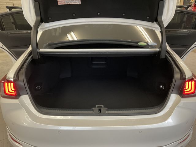 Lexus ES 2019-06 10933-16