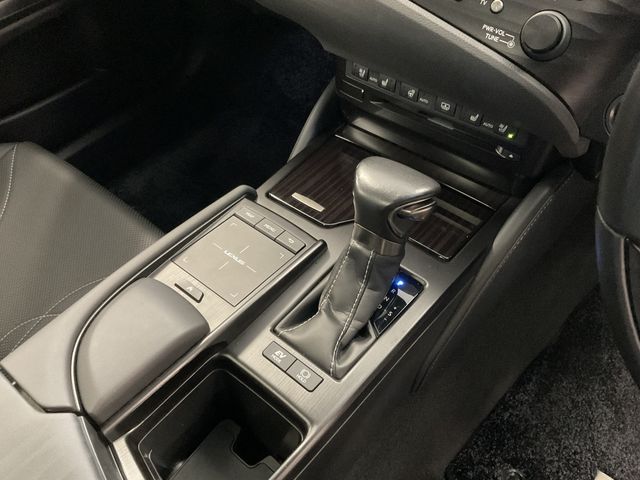 Lexus ES 2019-06 10933-3