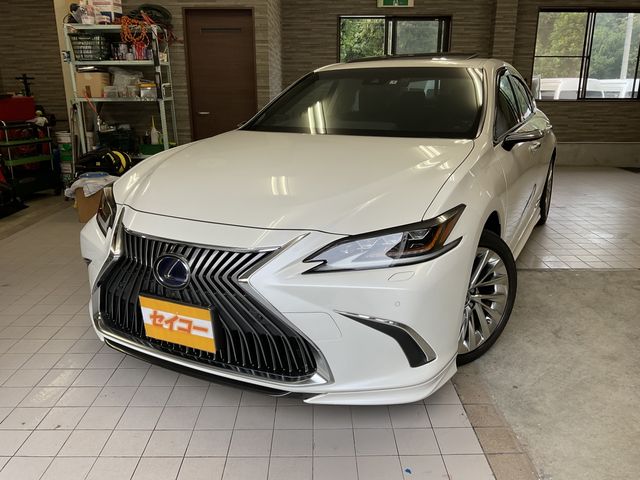 Lexus ES 2019-06 10933-0