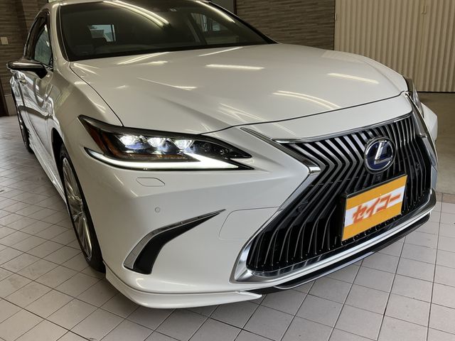 Lexus ES 2019-06 10933-22