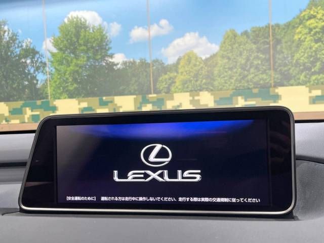 Lexus RX 2016-03 194525-2