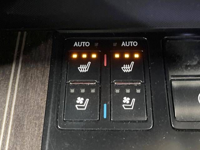 Lexus RX 2016-03 194525-5