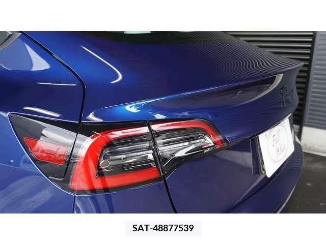 Tesla MODEL 3 2021-09 394656-5