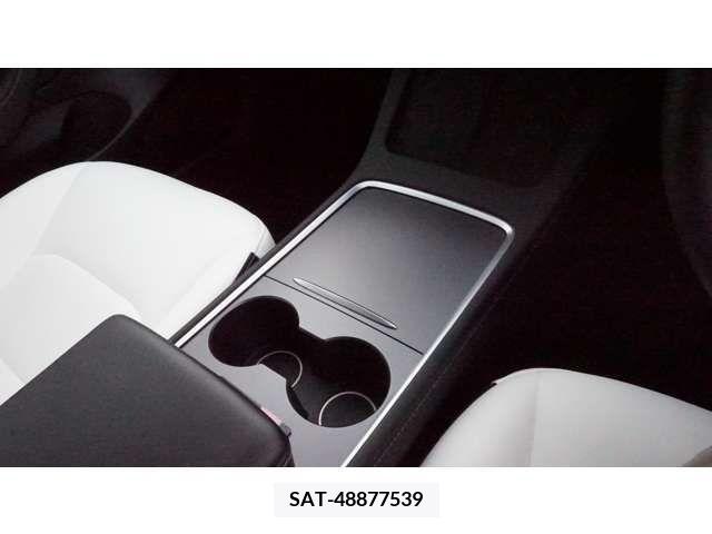 Tesla MODEL 3 2021-09 394656-19
