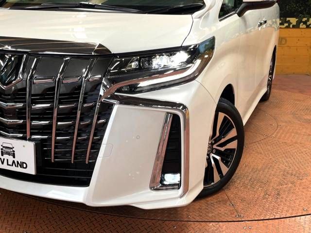 Toyota ALPHARD 2021-01 191342-13