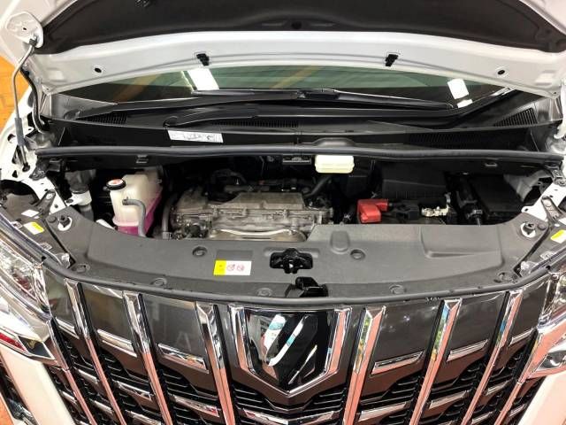 Toyota ALPHARD 2021-01 191342-19