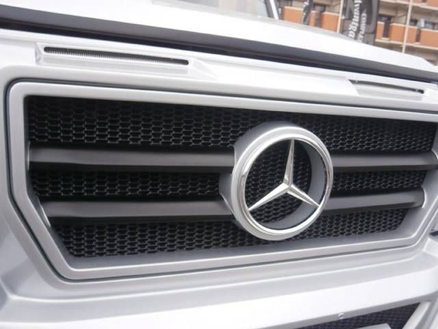 Mercedes Benz G-CLASS 2006-06 184734-7