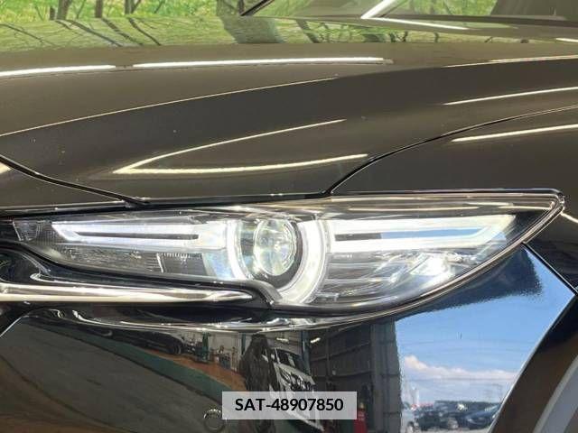 Mazda CX-8 2018-01 346871-13