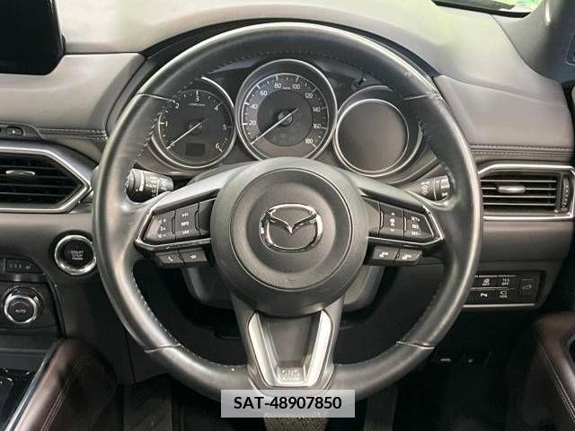 Mazda CX-8 2018-01 346871-12