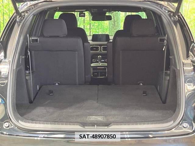 Mazda CX-8 2018-01 346871-11