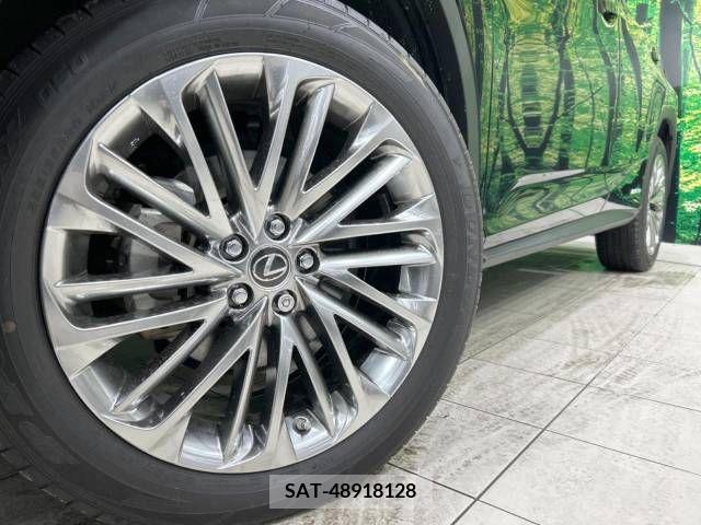 Lexus RX 2021-07 212152-13