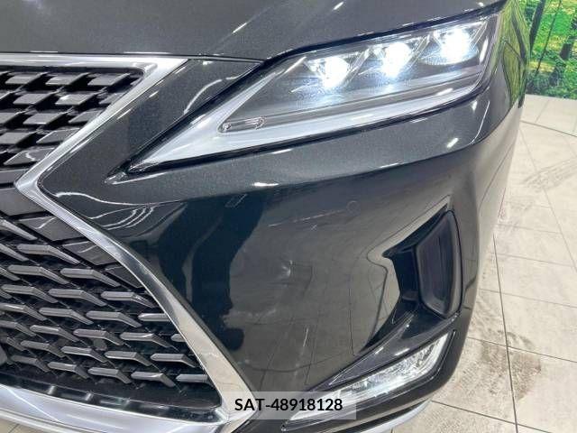 Lexus RX 2021-07 212152-12