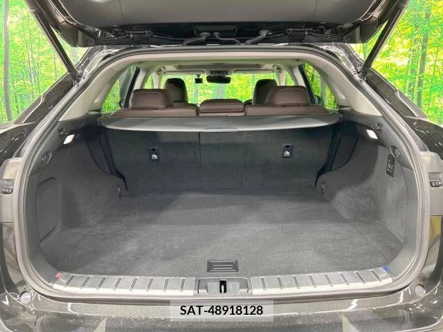 Lexus RX 2021-07 212152-10