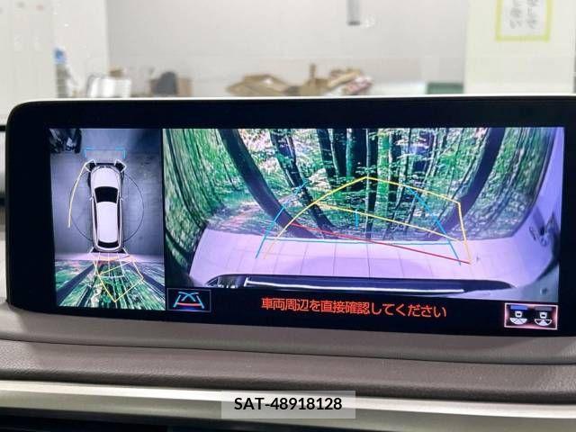 Lexus RX 2021-07 212152-4