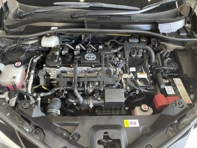 Toyota C-HR 2019-10 182696-13
