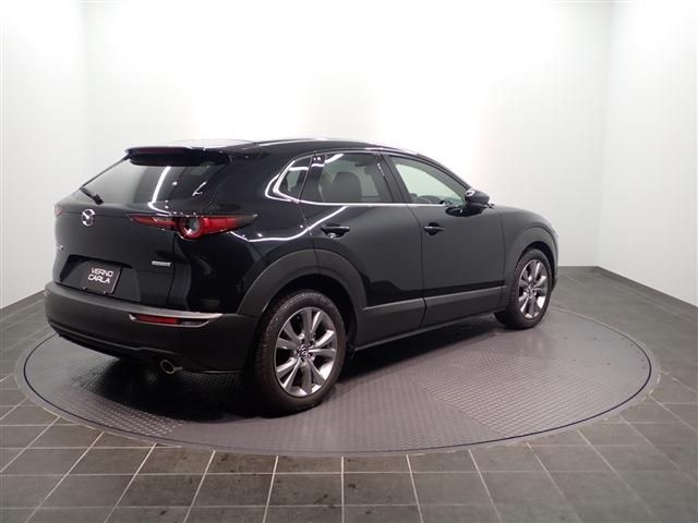 Mazda CX-30 2020-12 190147-4