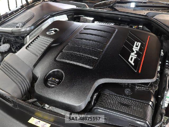 Amg E-CLASS 2019-01 220782-5