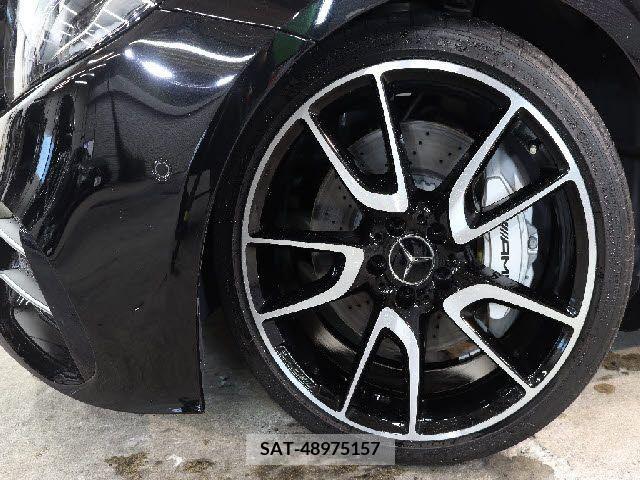 Amg E-CLASS 2019-01 220782-7