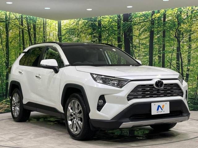 Toyota RAV4 2021-02 180578-16