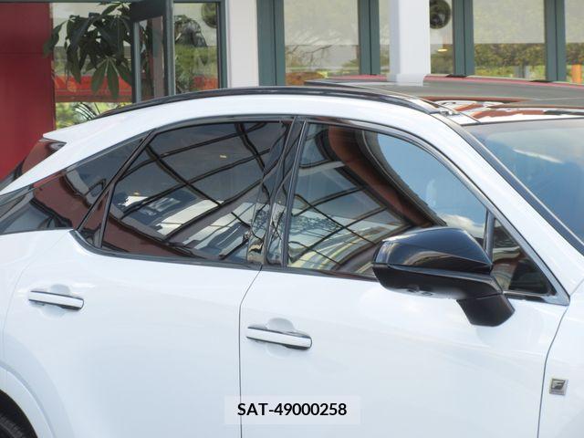 Lexus RX 2023-05 207103-7