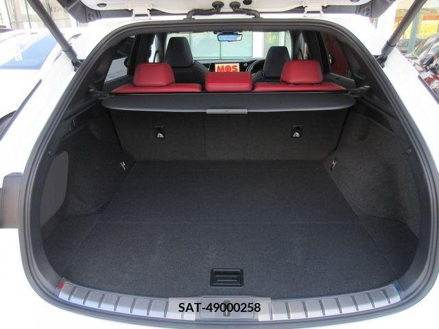 Lexus RX 2023-05 207103-11