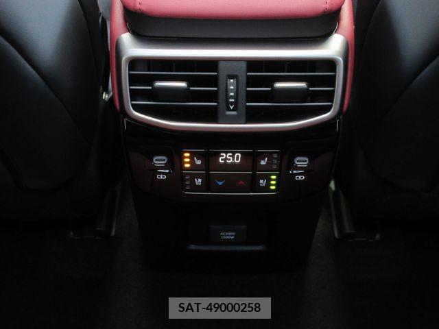 Lexus RX 2023-05 207103-16