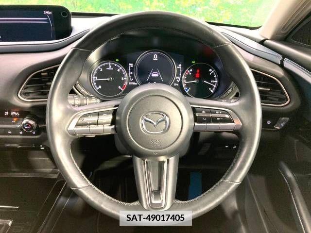 Mazda CX-30 2019-12 384921-11