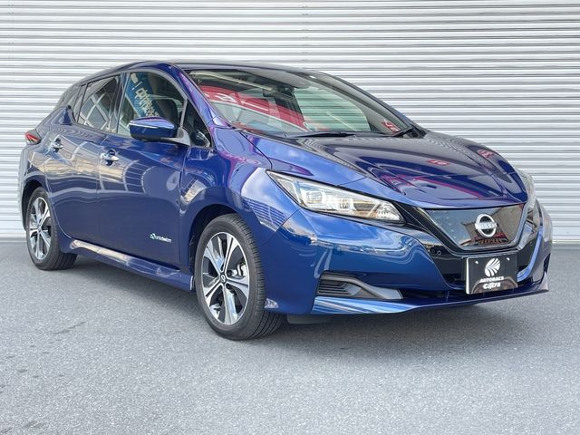 Nissan LEAF 2022-01 18782-19