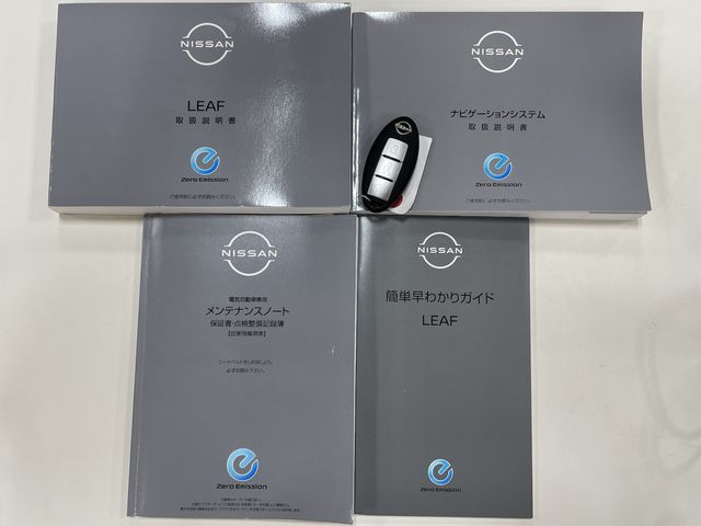 Nissan LEAF 2022-01 18782-21