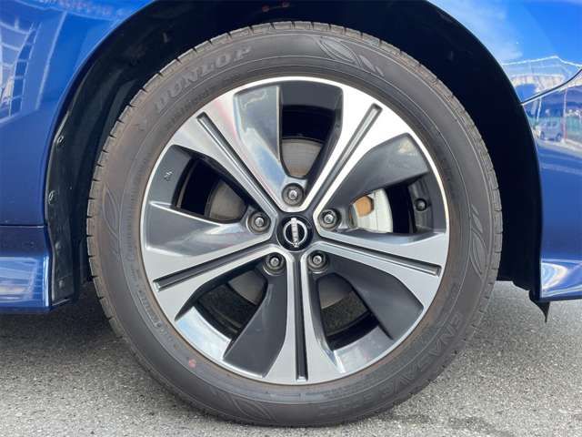 Nissan LEAF 2022-01 18782-12