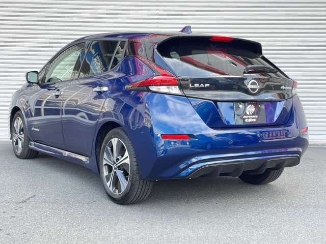 Nissan LEAF 2022-01 18782-17